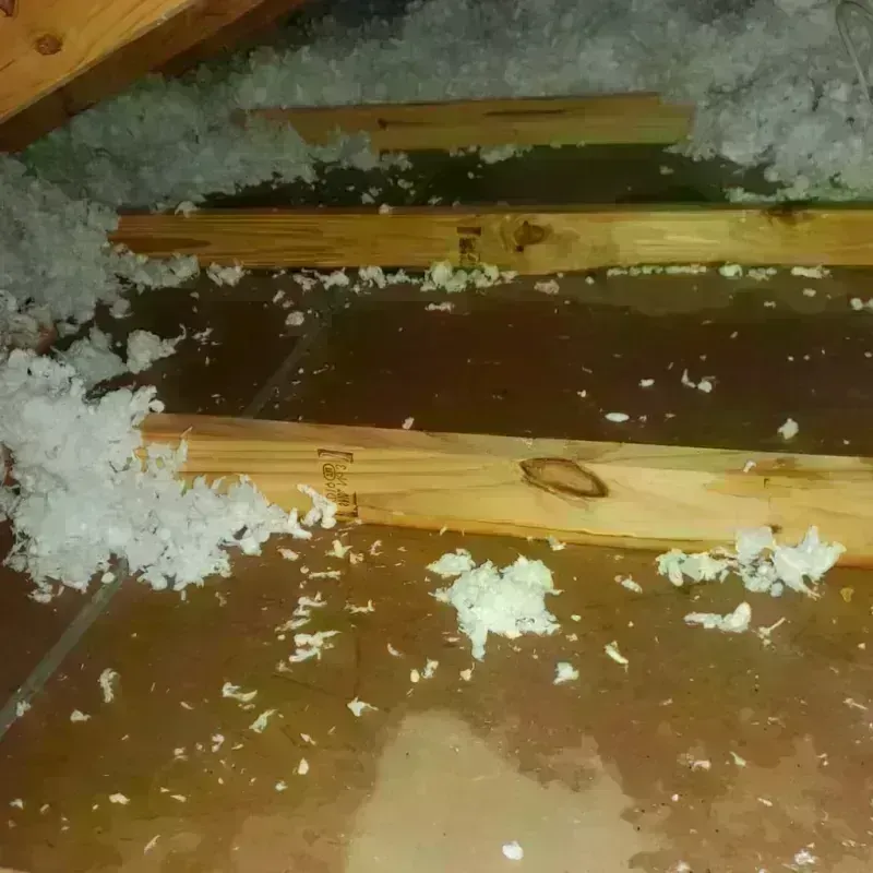 Attic Water Damage in Gallatin, TN