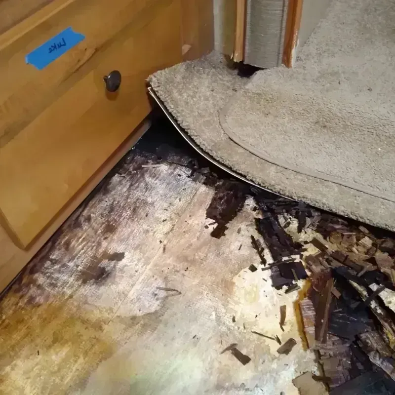 Best Wood Floor Water Damage Service in Gallatin, TN